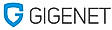 GigeNET Enterprise 360 Managed Hosting