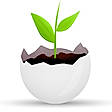 goReflect