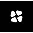 graphis