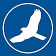 HawkSoft