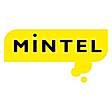 Mintel In-Store