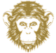 Omneky