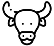 oxWriter