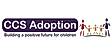 CCS Adoption