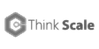 Think Scale