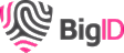 BigID