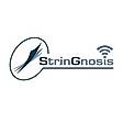 StrinGnosis