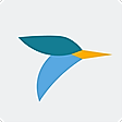Tern