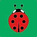 Buglet