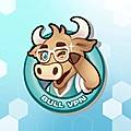 BullVPN