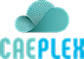 CAEplex