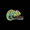 Camisual