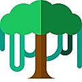 Canopy API