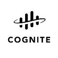 Cognite Data Fusion