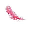 Feather