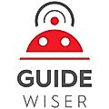 Guidewiser