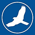 HawkSoft