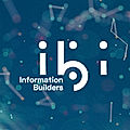 ibi Analytics Platform