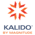 Magnitude MDM (Kalido)