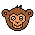 Monkey Test It