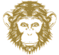 Omneky