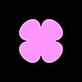 Orchids