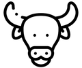 oxWriter