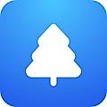 Pineify