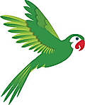 Price Parrot