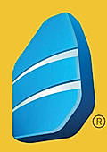 Rosetta Stone
