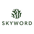 Skyword360