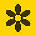 SocialCrawl