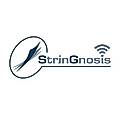 StrinGnosis