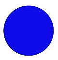 TheViewPoint