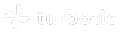 Turbotic