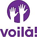 Voila app