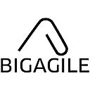 BigAgile logo