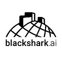 Blackshark.ai logo