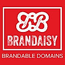 Brandaisy logo