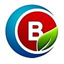 BristolByte logo
