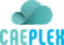 CAEplex logo