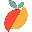 Checkmango logo
