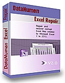 DataNumen Excel Repair logo