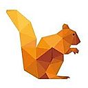 DataSquirrel logo