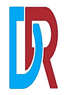 DomainRacers logo