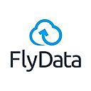 FlyData logo