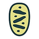 Myzenteam logo