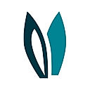 nextmv logo
