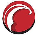 PrecisionAnalytics logo