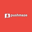 PushMaze logo
